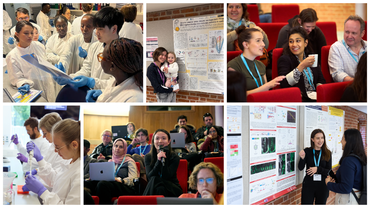 A montage of six individual images showcasing scientists networking at a research conference, and scientists participating in a laboratory training exercise. 