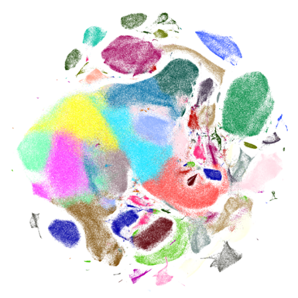 scb2020-image600x600