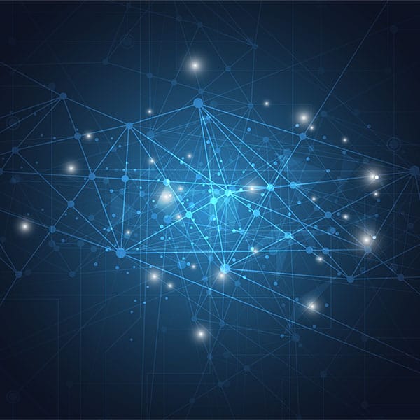 shutterstock_651903637